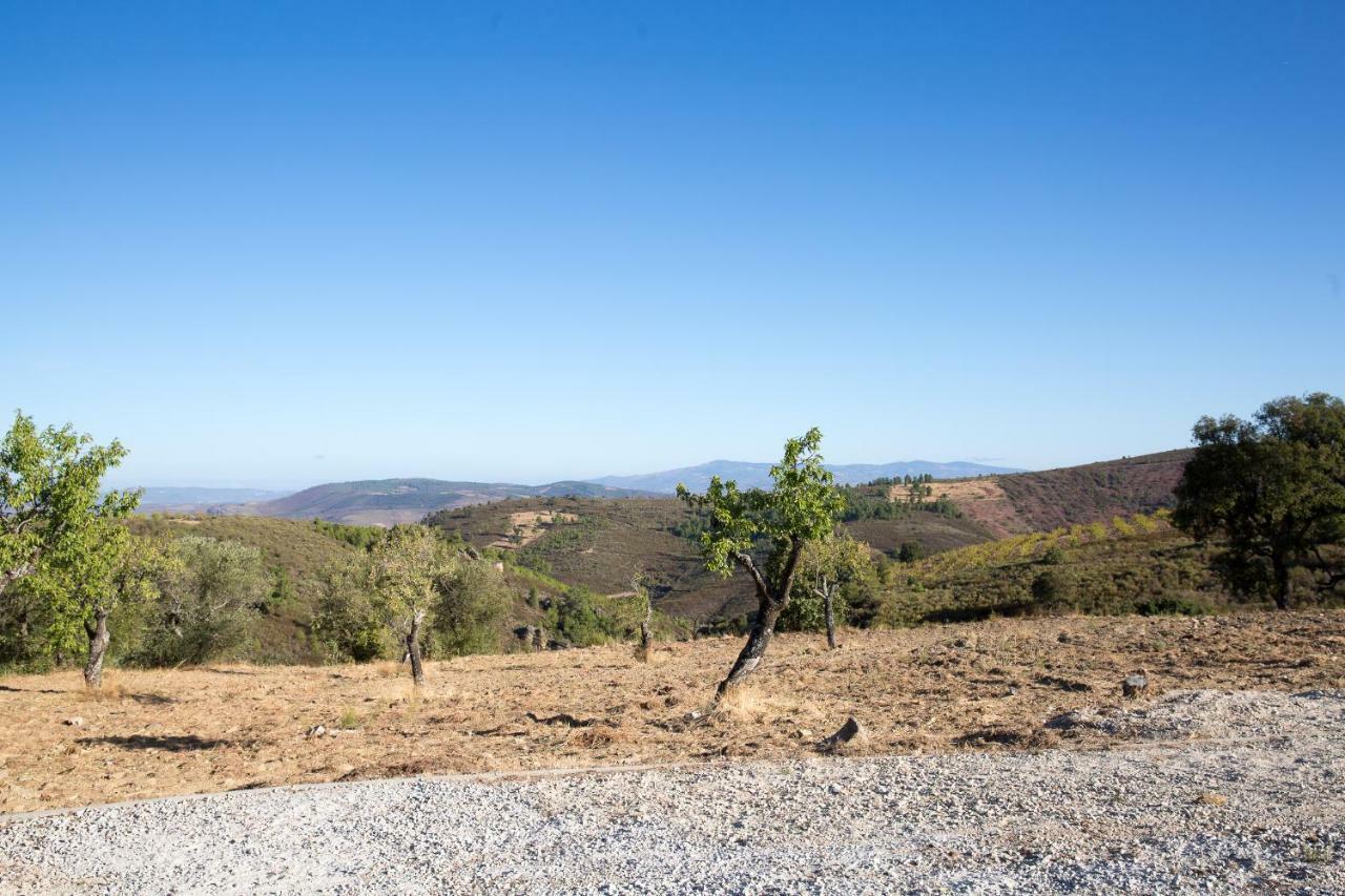 Desafios Da Horta Villa Souto da Velha Eksteriør bilde